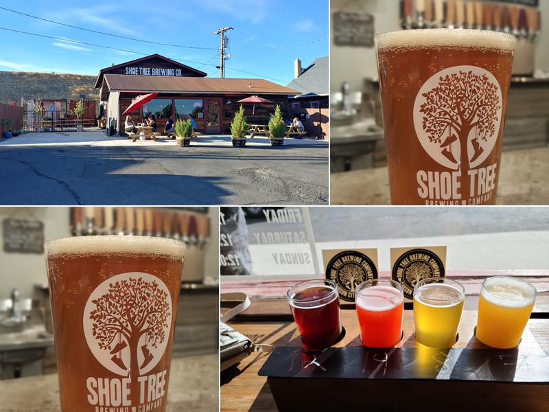 Shoe Tree Brewing Co.