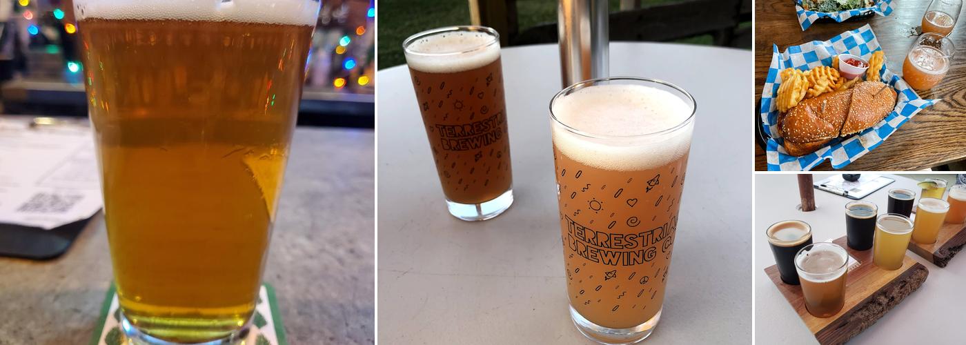 Terrestrial Brewing Company