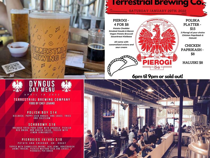 Terrestrial Brewing Company Menu