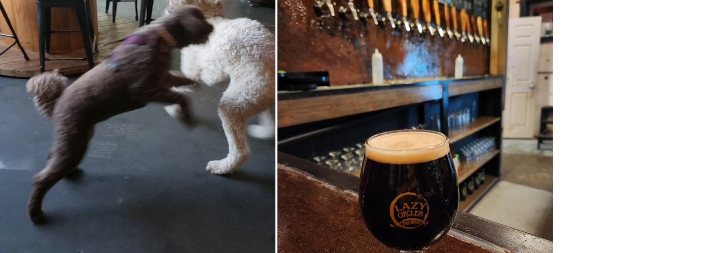 Lazy Circles Brewing Menu