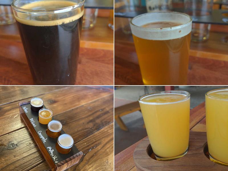 Buena Vista Brewing Co.