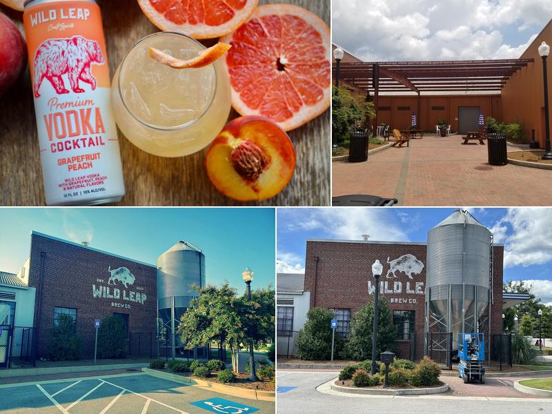 Wild Leap LaGrange 308 Main St, LaGrange