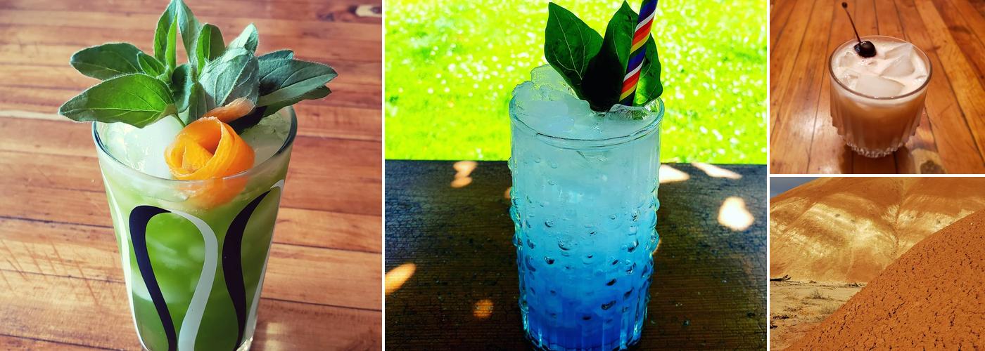 Bit by a Fox Mobile Speakeasy