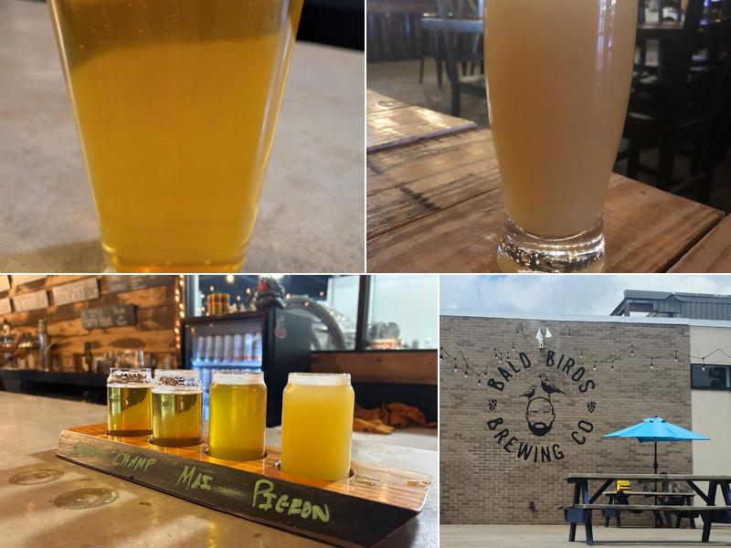 Bald Birds Brewing Company