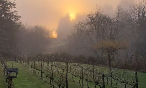 Olalla Vineyard & Winery Olalla