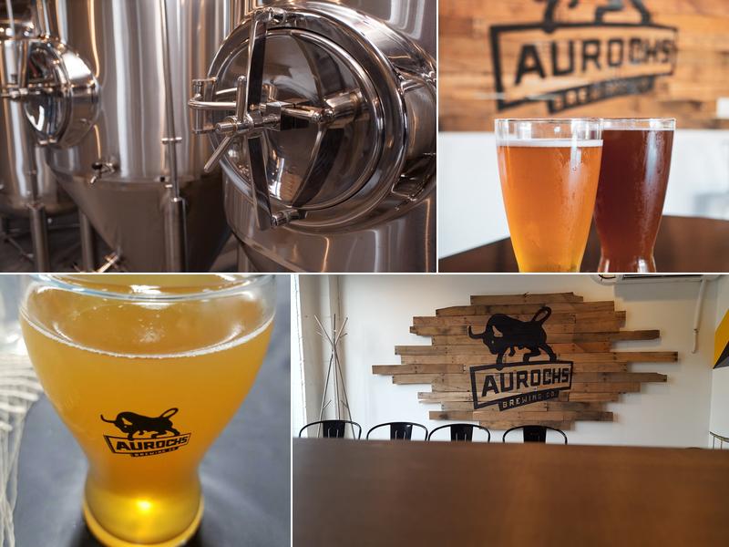 Aurochs Brewing Company