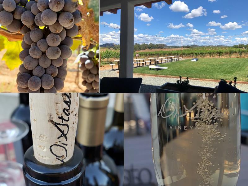 Di Stasio Vineyards and Wines