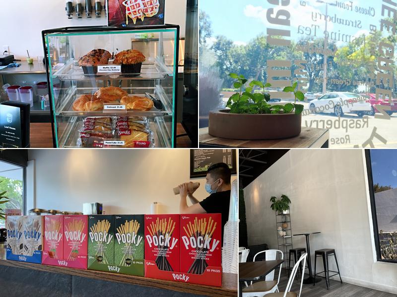 Leaf House 12389 Sheridan St, Cooper City