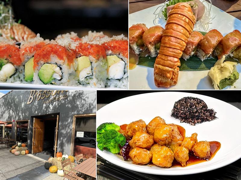 Blossom Asian bistro