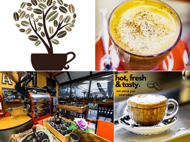 The Java Tree - Roasters, Cafe, and Bakery