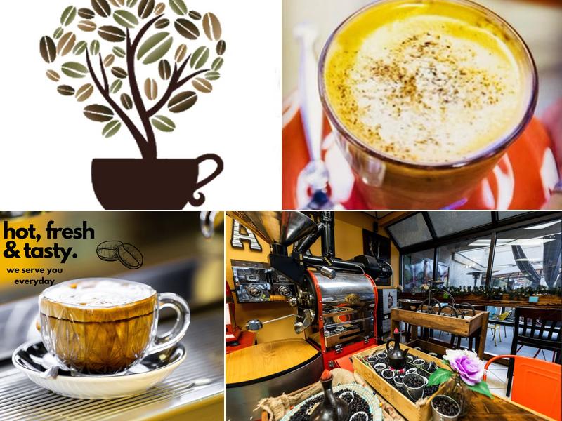 The Java Tree - Roasters, Cafe, and Bakery