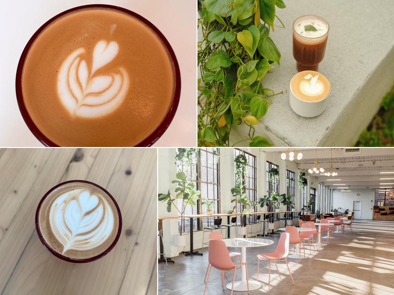 Junto Coffee 232 Mill St, Taylors