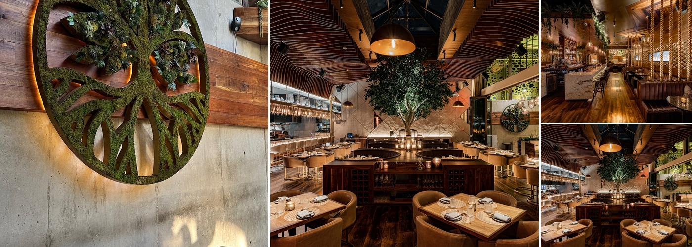 Toca Madera Scottsdale