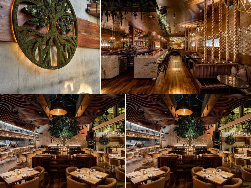 Toca Madera Scottsdale