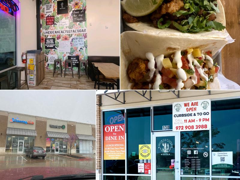 Mexican Cactus Taco Bar