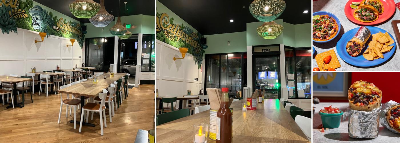 The Little Chihuahua