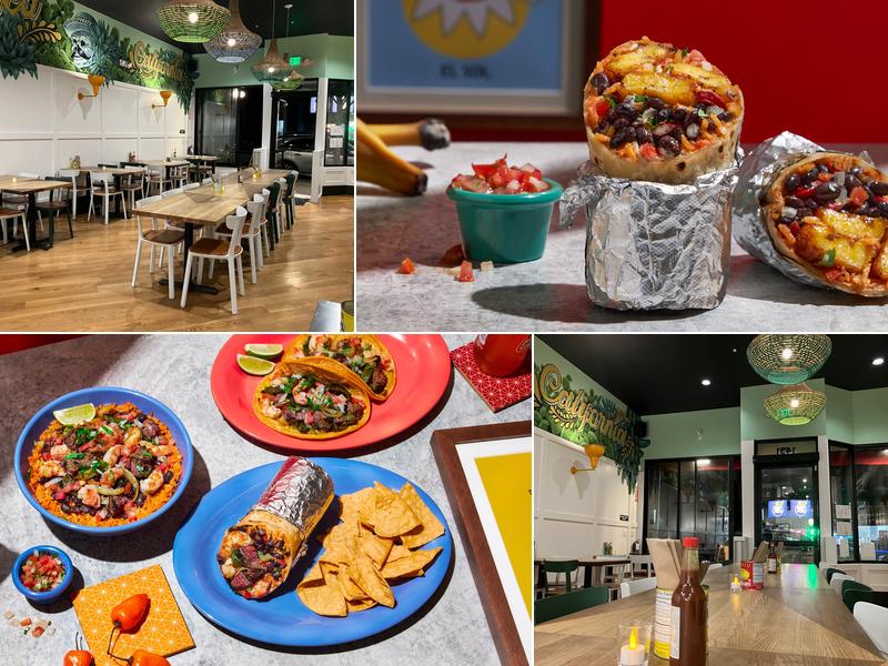 The Little Chihuahua