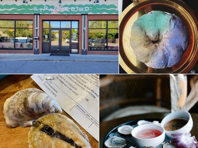 Strange Bird 128 S Audubon Rd, Indianapolis