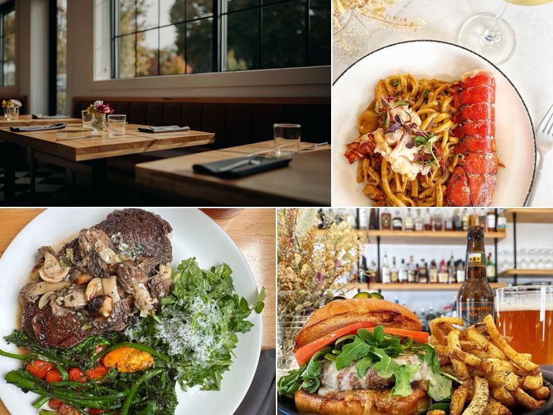 Bird Dog 57649 Murray St, Mattawan