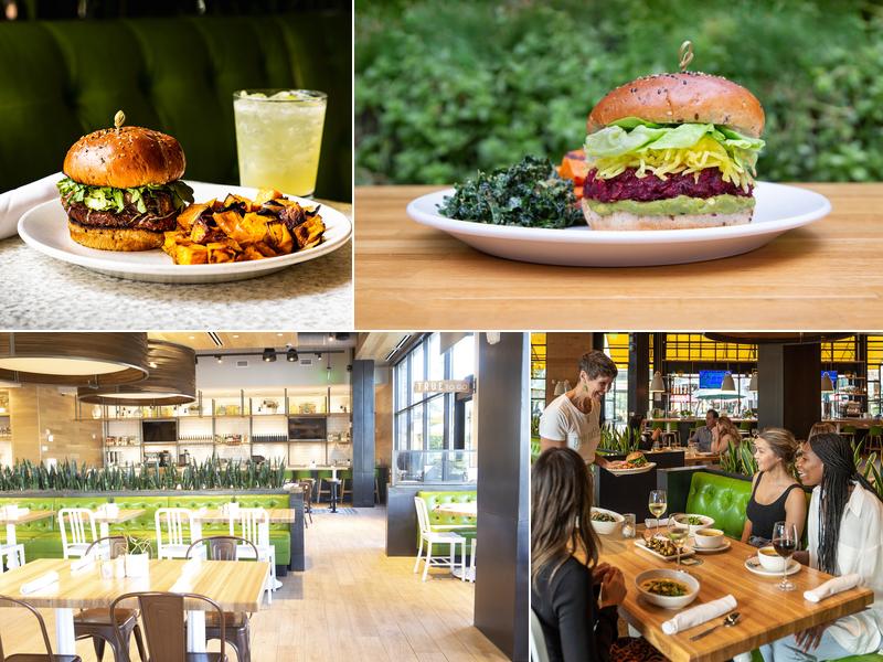 True Food Kitchen Menu