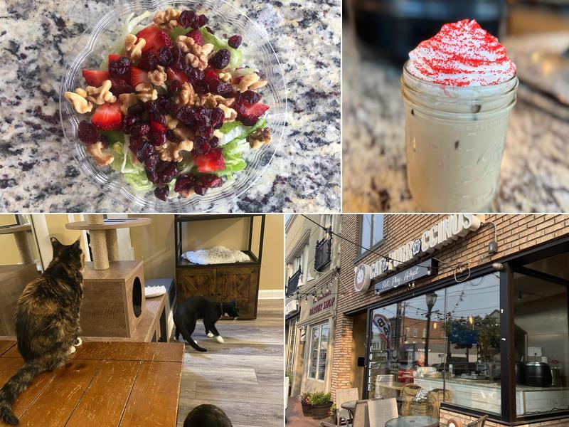 Catpurrccinos 322 Main St, Huntington