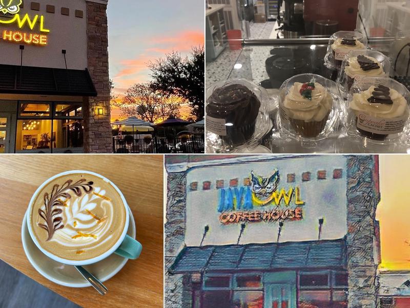 Java Owl Coffee House