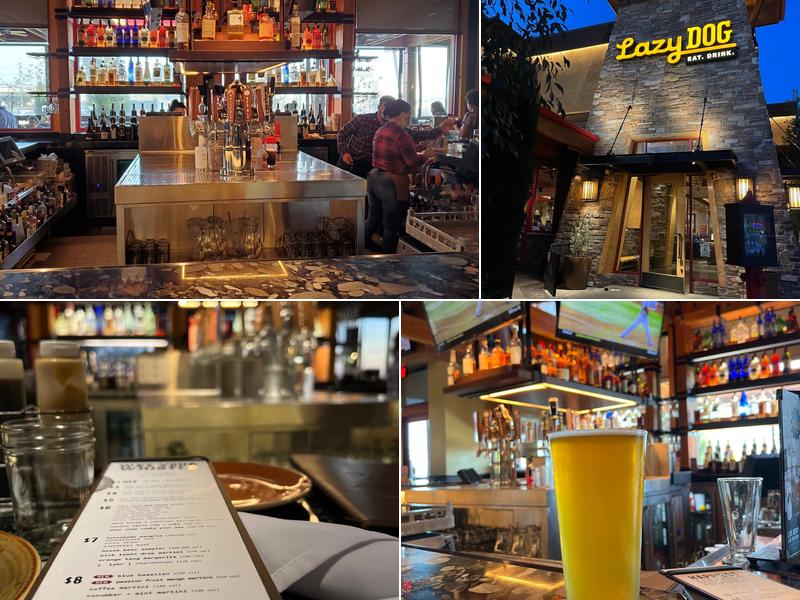 Lazy Dog Restaurant & Bar