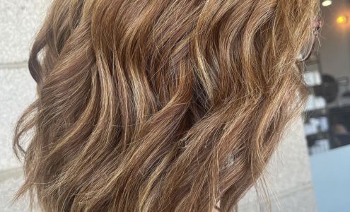 olive + elm hair salon