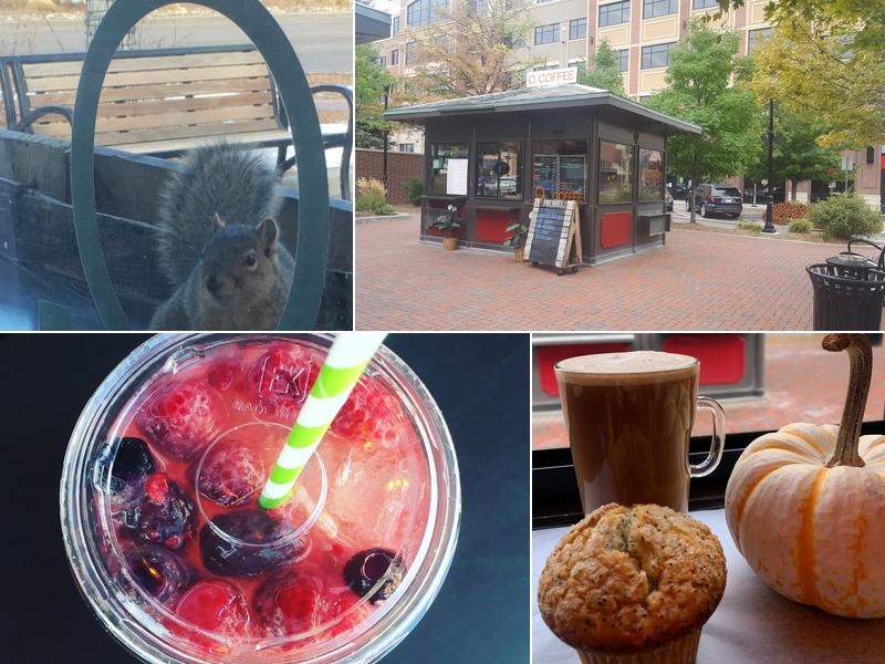 The O.Coffee Company