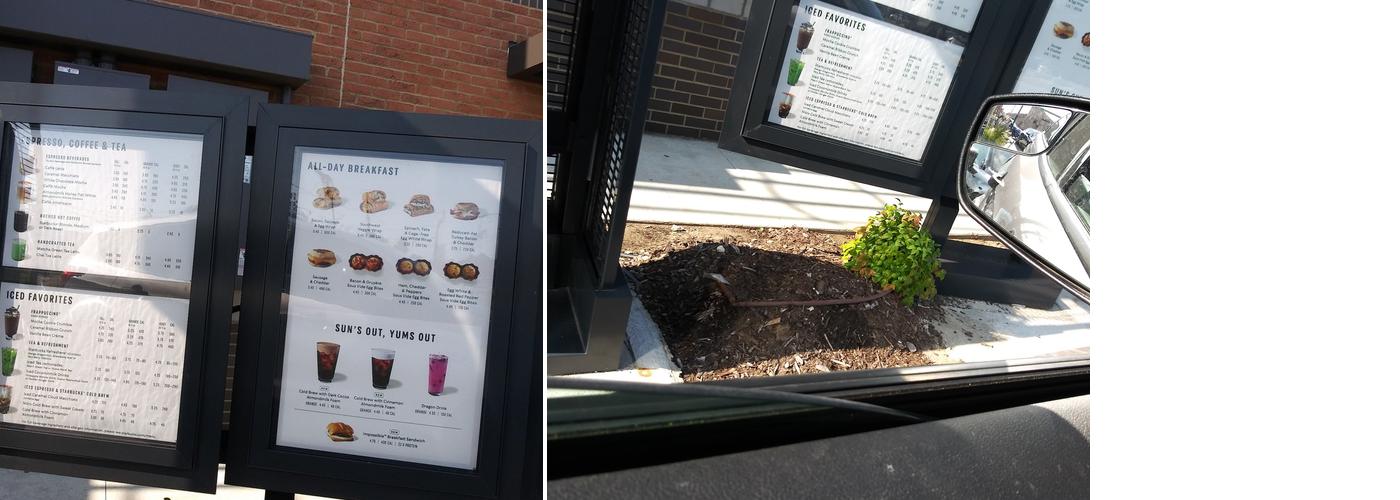 Starbucks Menu