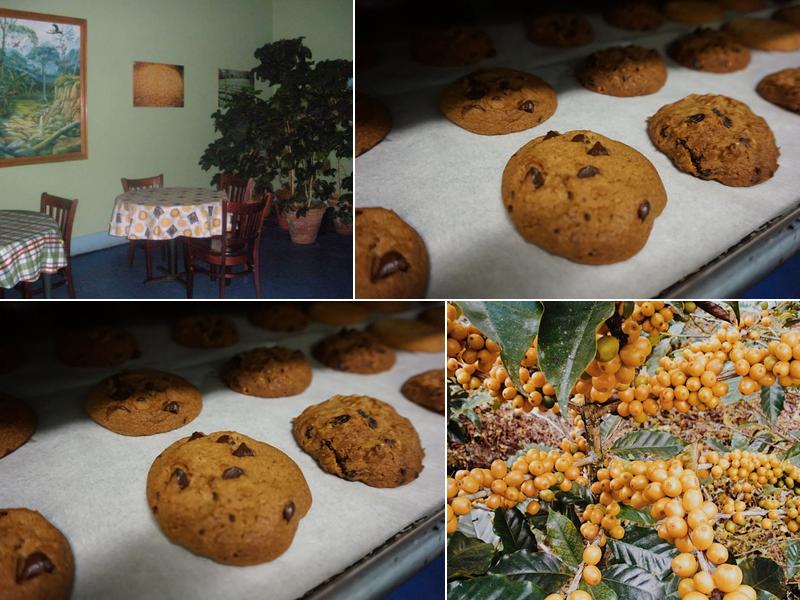 Star Mountain Coffee Bldg 141, Federal Cir, Jamaica