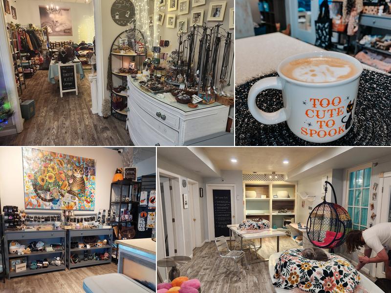 Cattfeinated Cat Cafe 159 E Otterman St, Greensburg