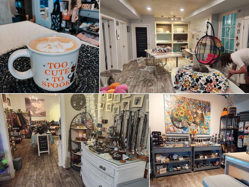 Cattfeinated Cat Cafe