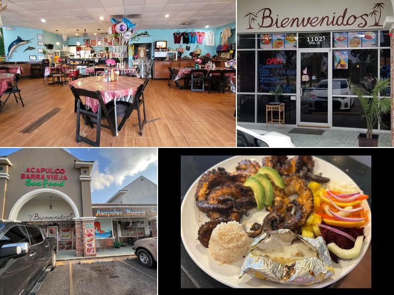 Acapulco Barra Vieja