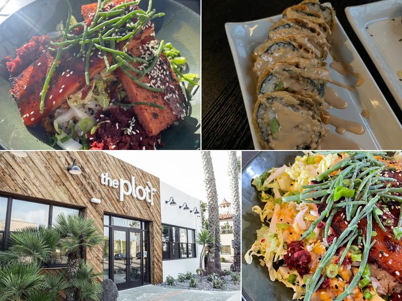 The Plot 1733 S Coast Hwy, Oceanside