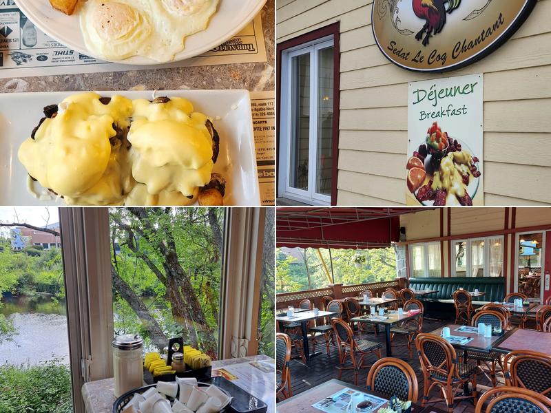 Sedat Coq Chantant Inc (Le)