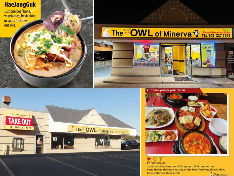 The Famous Owl of Minerva