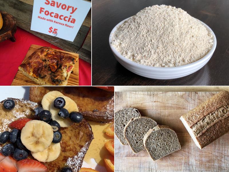 Baker's Field Flour & Bread