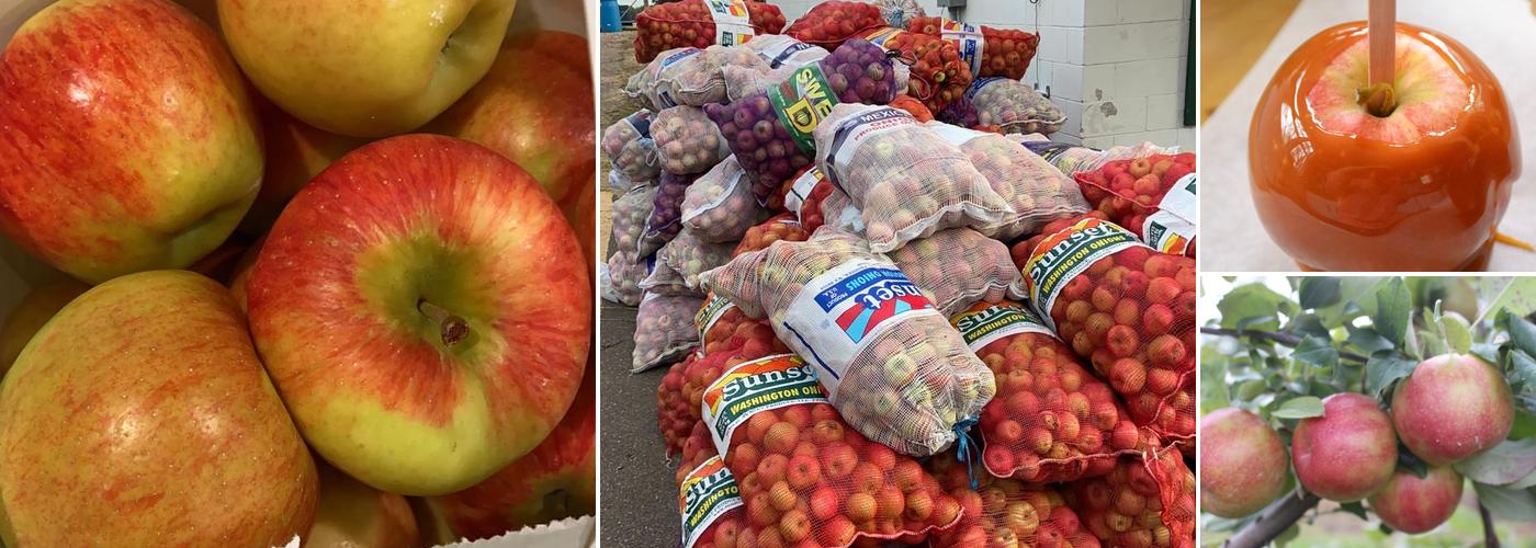 Bushel, And, A, Peck, LLC.