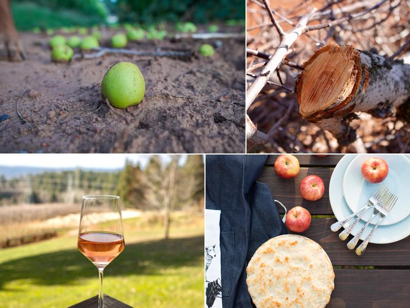 Joan's Apple Bakery at Delfino Farms