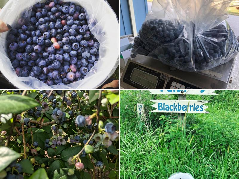 The Berry Patch 22509 S State Line Rd, Cleveland