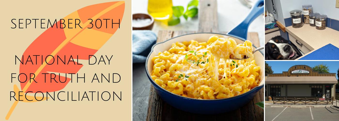 Fort Langley Veterinary Clinic