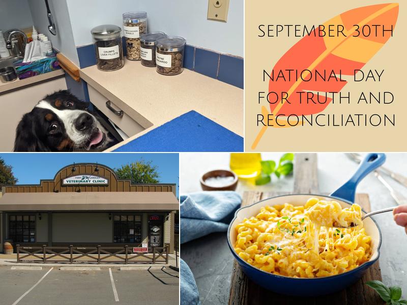 Fort Langley Veterinary Clinic