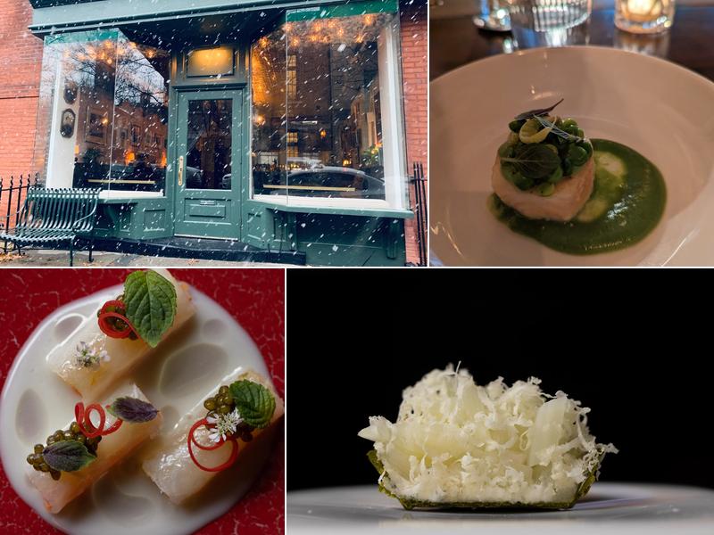 Clover Hill 20 Columbia Pl, Brooklyn