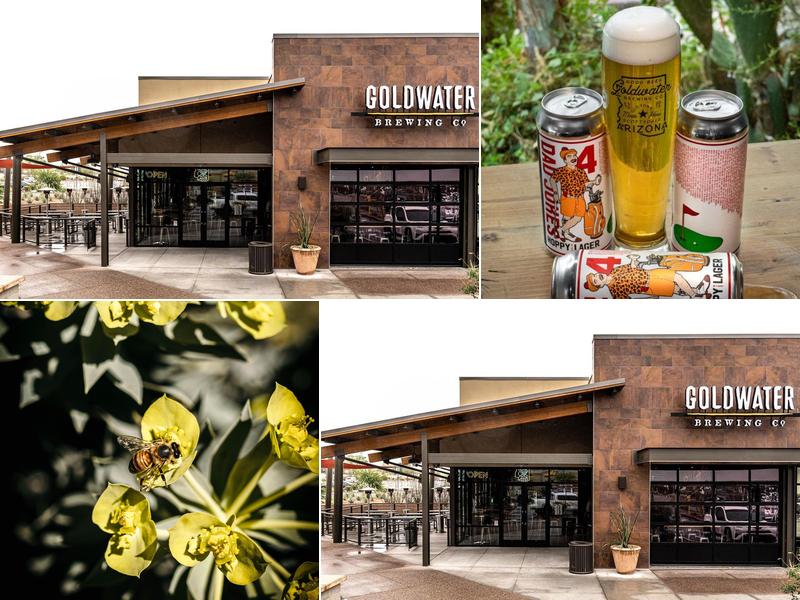 Goldwater Longbow 5942 E Longbow Pkwy Unit 105, Mesa