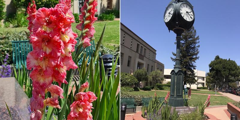 Courthouse Cafeteria