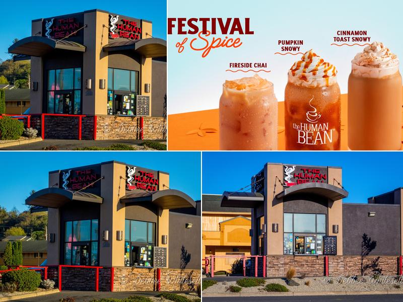 The Human Bean 62993 US-101, Coos Bay