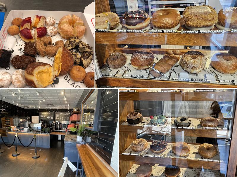 Blackbird Doughnuts Newton Centre