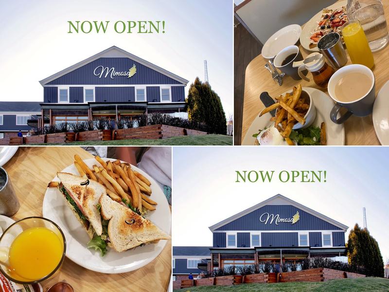 Mimosa 275 Regency Ct, Brookfield