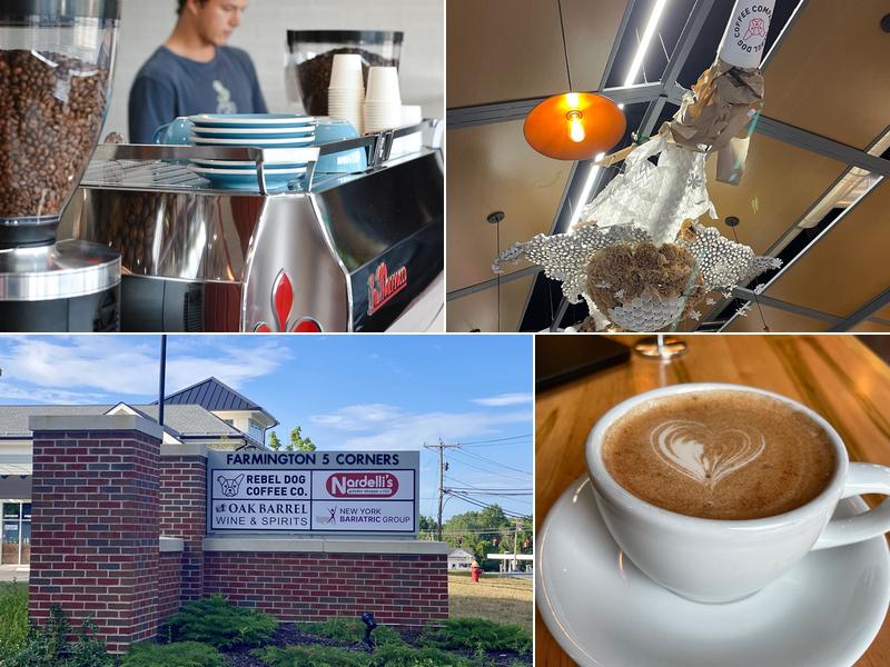 Rebel Dog Coffee Co. FARMINGTON